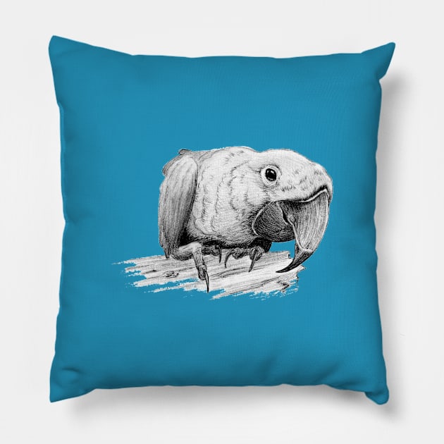 Macaw Pillow by mynaito