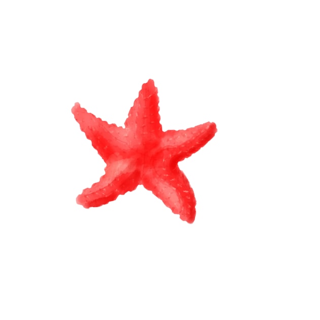 Starfish by melissamiddle