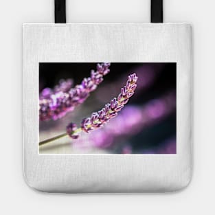 Lavender close-up Tote