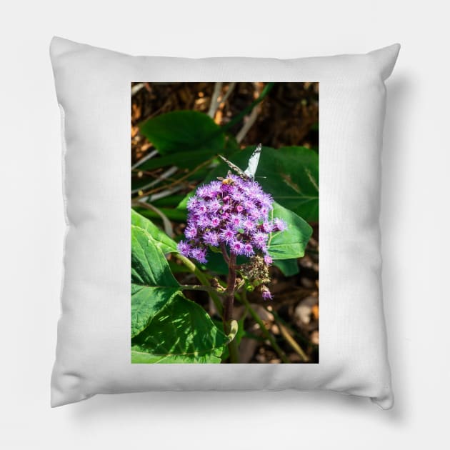 Butterfly and Bee in the Botanical Garden Pillow by seaearthandsky