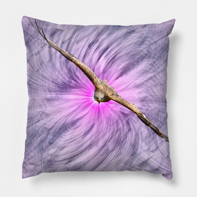 Eagle focus / Swiss Artwork Photography Pillow by RaphaelWolf