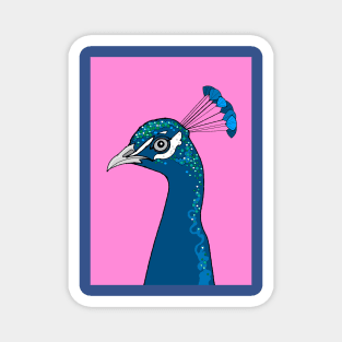 Peacock Portrait ( pink ) Magnet