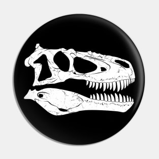 Daspletosaurus fossil skull Pin