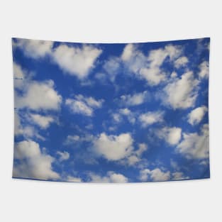 Blue sky clouds in Dresden Germany To travel is to live beautiful photo Tapestry