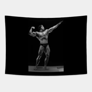 Arnold Schwarzenegger : Physique Goals & Motivation Tapestry