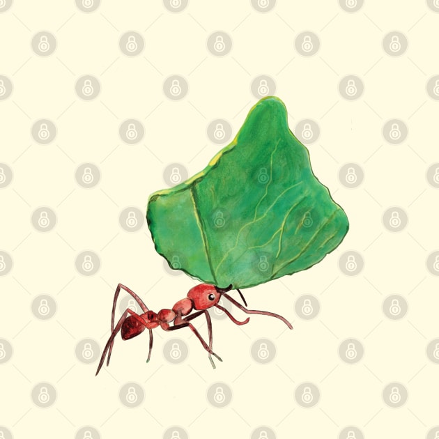 Ant carrying big leaf by Julia Doria Illustration