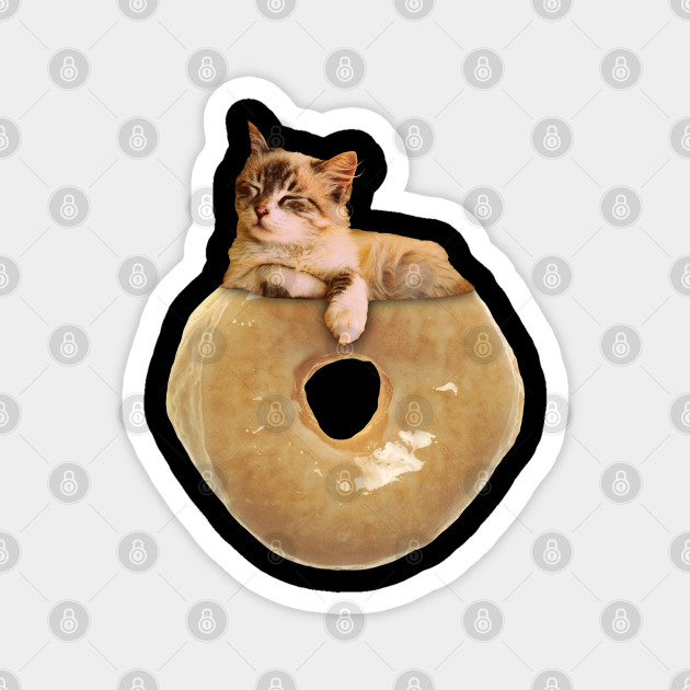 doughnut kitten