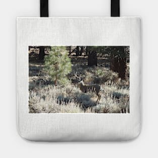 Deer, Wildlife, Mule Deer, Buck, Nature, Gifts Tote