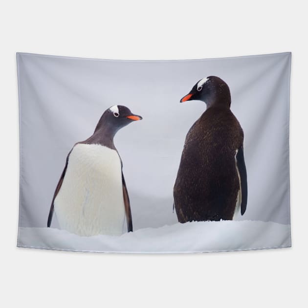 PENGUIN CONVERSATION Tapestry by NATURE WILD