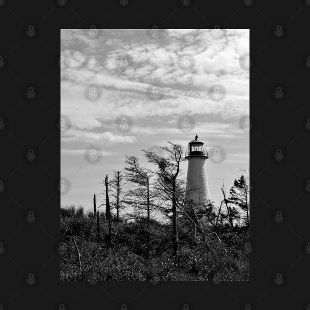 Point Prim Lighthouse , PEI by rconyard