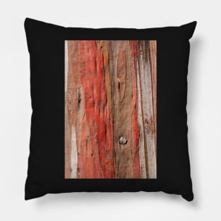 Eucalypt 6 Pillow