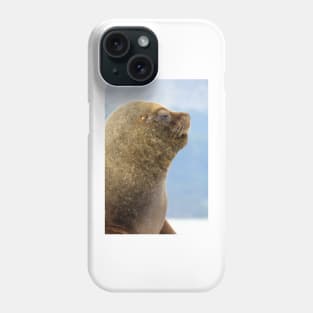 Weddell Seal in Beagle Channel, Ushuaia - Argentina Phone Case