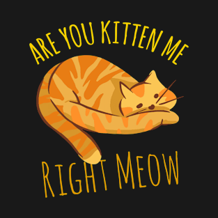 Are You Kitten Me Right Meow T-Shirt