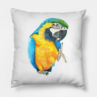 blue-and-gold macaw  ara ararauna parrot watercolor n.2 Pillow