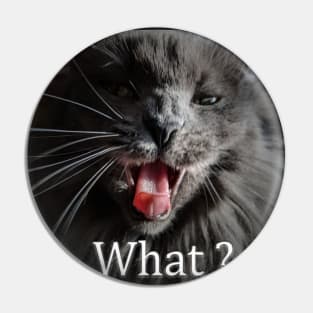 Funny "What" cat Pin