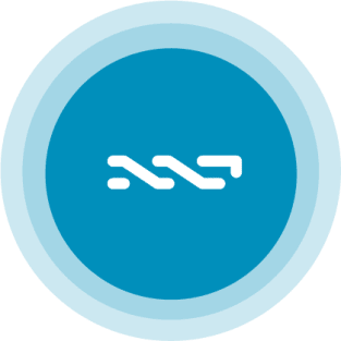 NXT Blockchain Platform Magnet