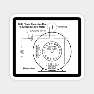 Split-Phase Capacitor-Run Reversible Induction Motor Magnet