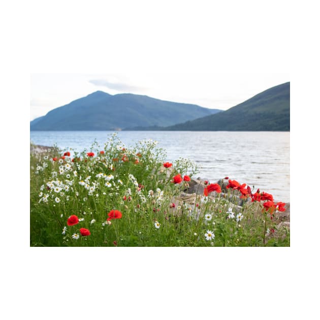 Loch Linnhe, Scotland by HazelWright