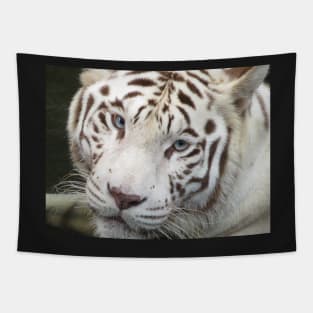 White Tiger Tapestry