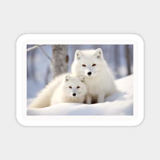 Fox Animal Wild Beauty Freedom Wilderness Enchanting Magnet