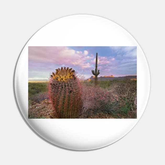 Saguaro And Giant Barrel Cactus With Panther And Safford Peaks In Distance Saguaro National Park Pin by RhysDawson