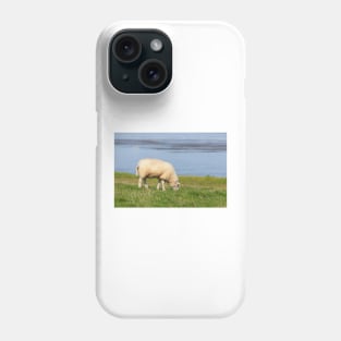 Sheep on a dyke, North Sea resort of Dangast, Varel-Dangast Phone Case