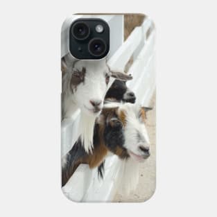 Happy friendly goats Phone Case