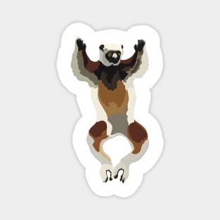 C is for Coquerel Sifaka Magnet