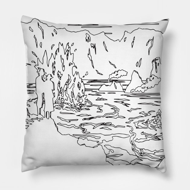 HAWAII Pillow by TheCosmicTradingPost