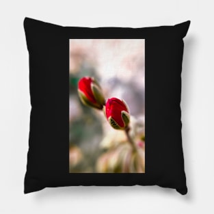 Early Birth in red Pillow