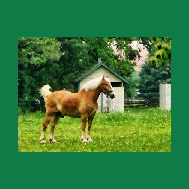 Horses - Palomino in Pasture by SusanSavad