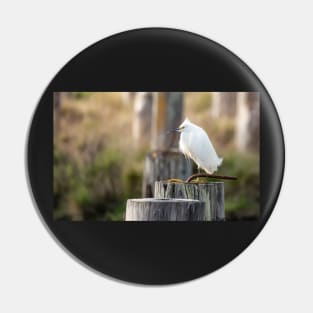 Snowy Egret on a Piling Pin