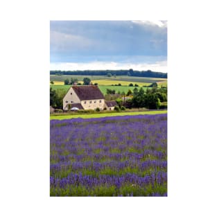 Lavender Field Summer Flowers Cotswolds England T-Shirt