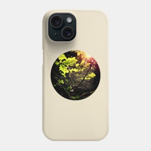 Spiderweb in the Forest Phone Case