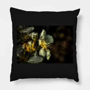 HDR Pear Blossom Pillow