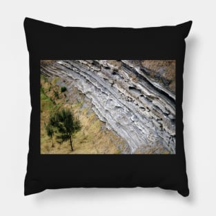 Tree and volcanic strata, Tower Hill Pillow