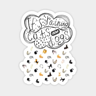 It's raining cats and dogs. Falling raindrops with cats and dogs. Magnet