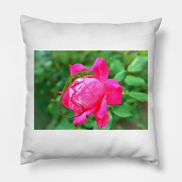 Baby Anole On Pink Rose Pillow by Cynthia48