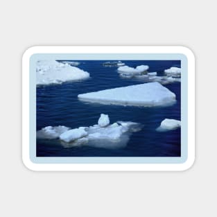 Ice Floes Magnet