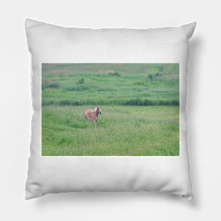 Lightning Bolt - Horse Pillow