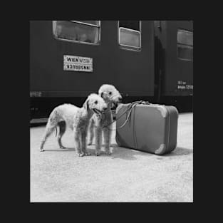 Bedlington Terrier Dogs Wait for Train, Vintage Train Station in Austria T-Shirt