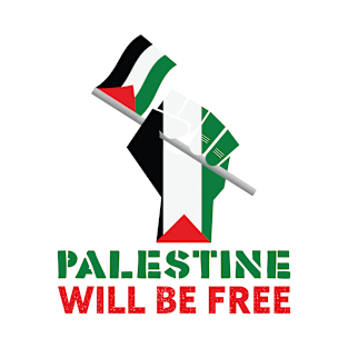 Free Palestine v24 T-Shirt