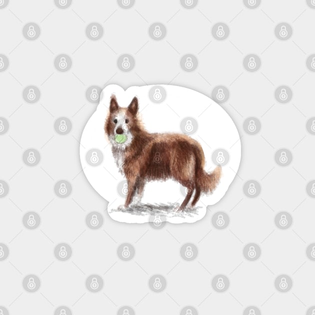 Collie Dog Magnet by Elspeth Rose Design