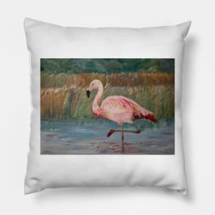 Pink flamingo on the Muga River Pillow