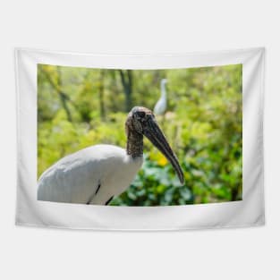 Wood stork   wildlife preserve 2 Tapestry