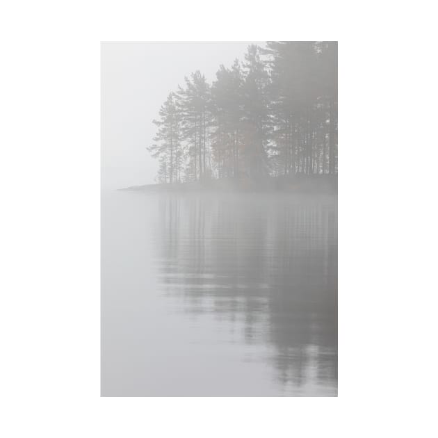 Trees reflection at lake foggy morning by Juhku