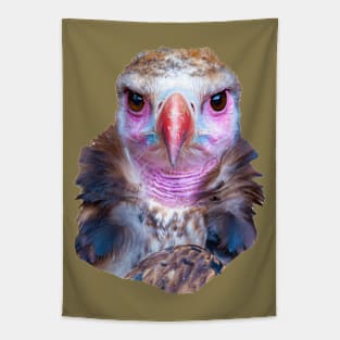 Cinereous Vulture face Tapestry