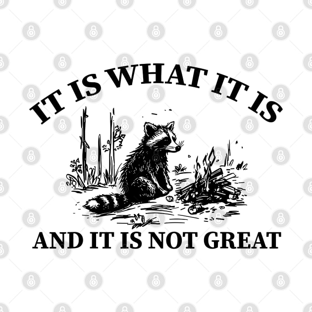 It Is What It Is And It Is Not Great funny raccoon by SonyaKorobkova