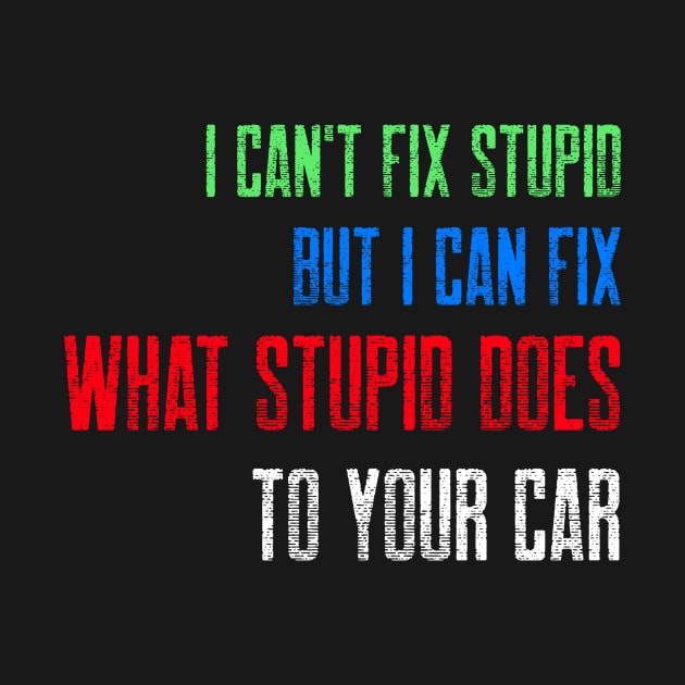 I can't fix stupid. But I can fix what stupid does to your car. by inessencedk