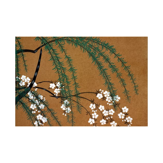 Kamisaka Sekka Blossoms from Momoyogusa Flowers of a Hundred Generations by pdpress